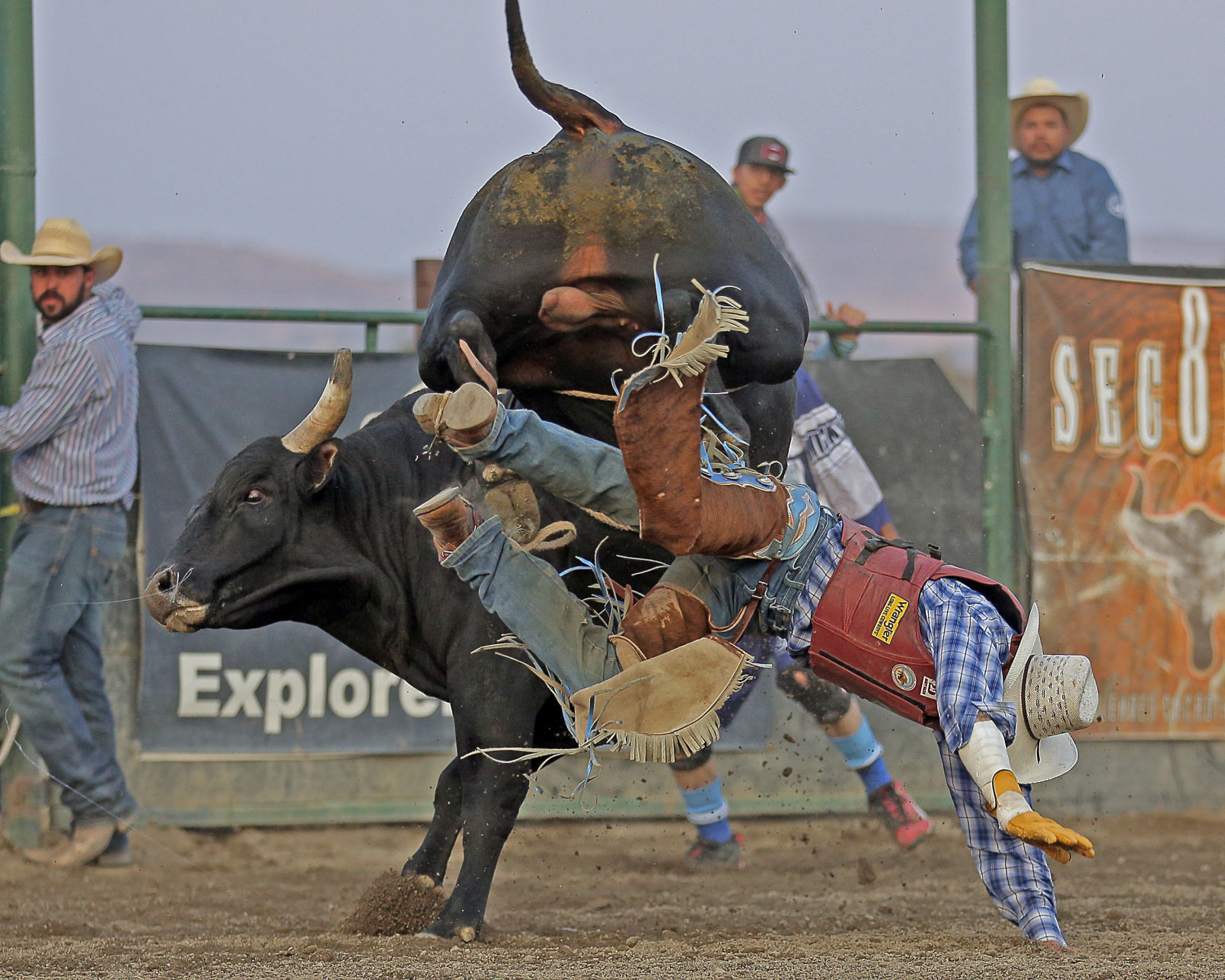 091520-elk-spt-gold-rush-72b.jpg